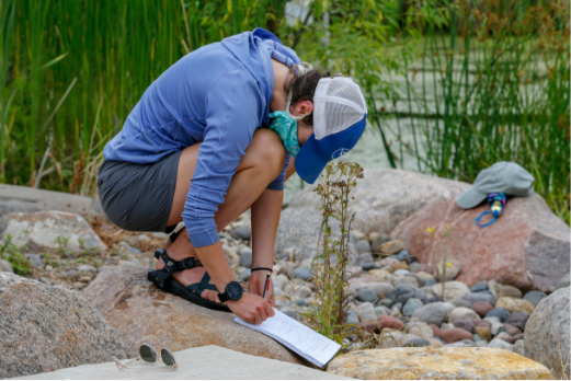 Student studying nature