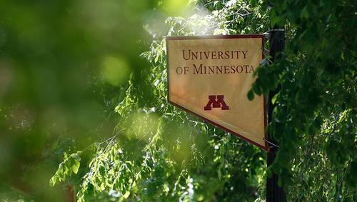 University of Minnesota banner hanging on lamp post with background of tree leaves